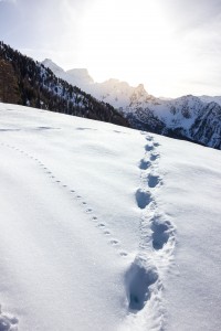 snow-Path